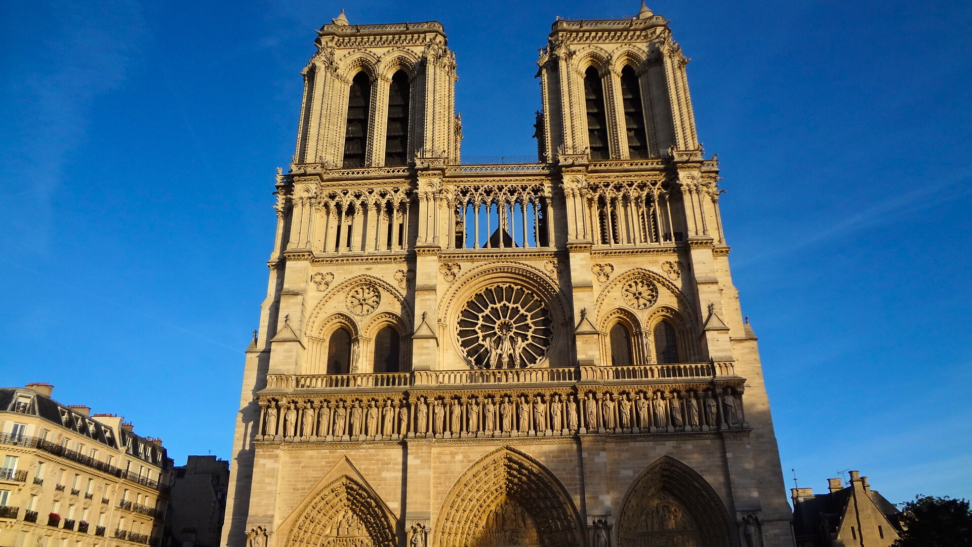 Notre-Dame de Paris : au coeur de la reconstruction